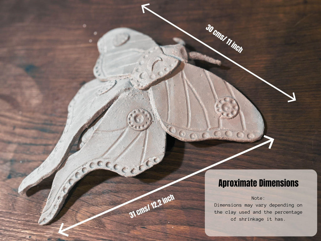 Luna Moth Template
