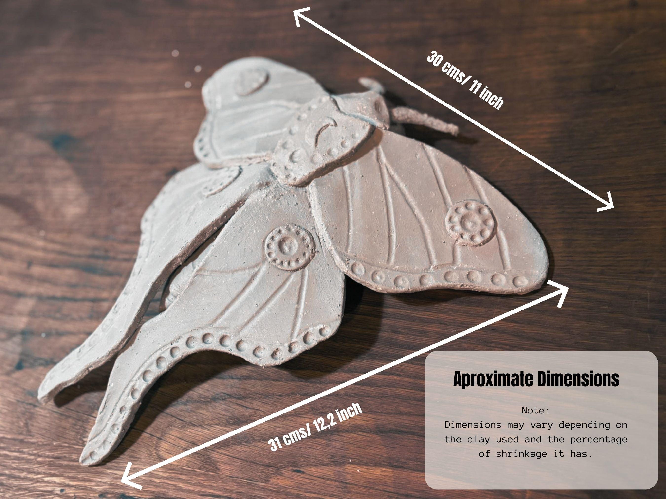 Luna Moth Template