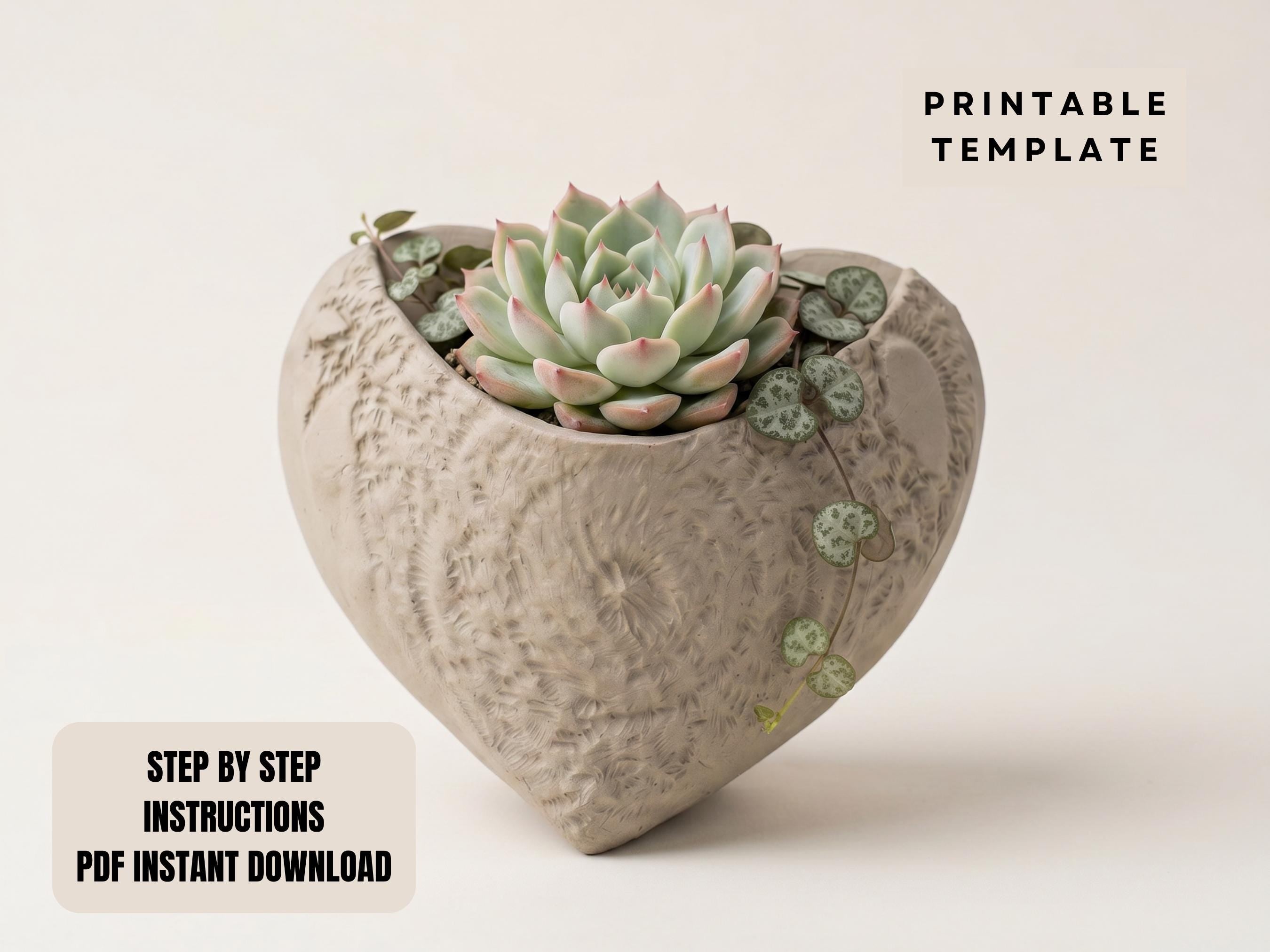 A heart-shaped ceramic planter with a succulent plant growing in it, placed on a white background.