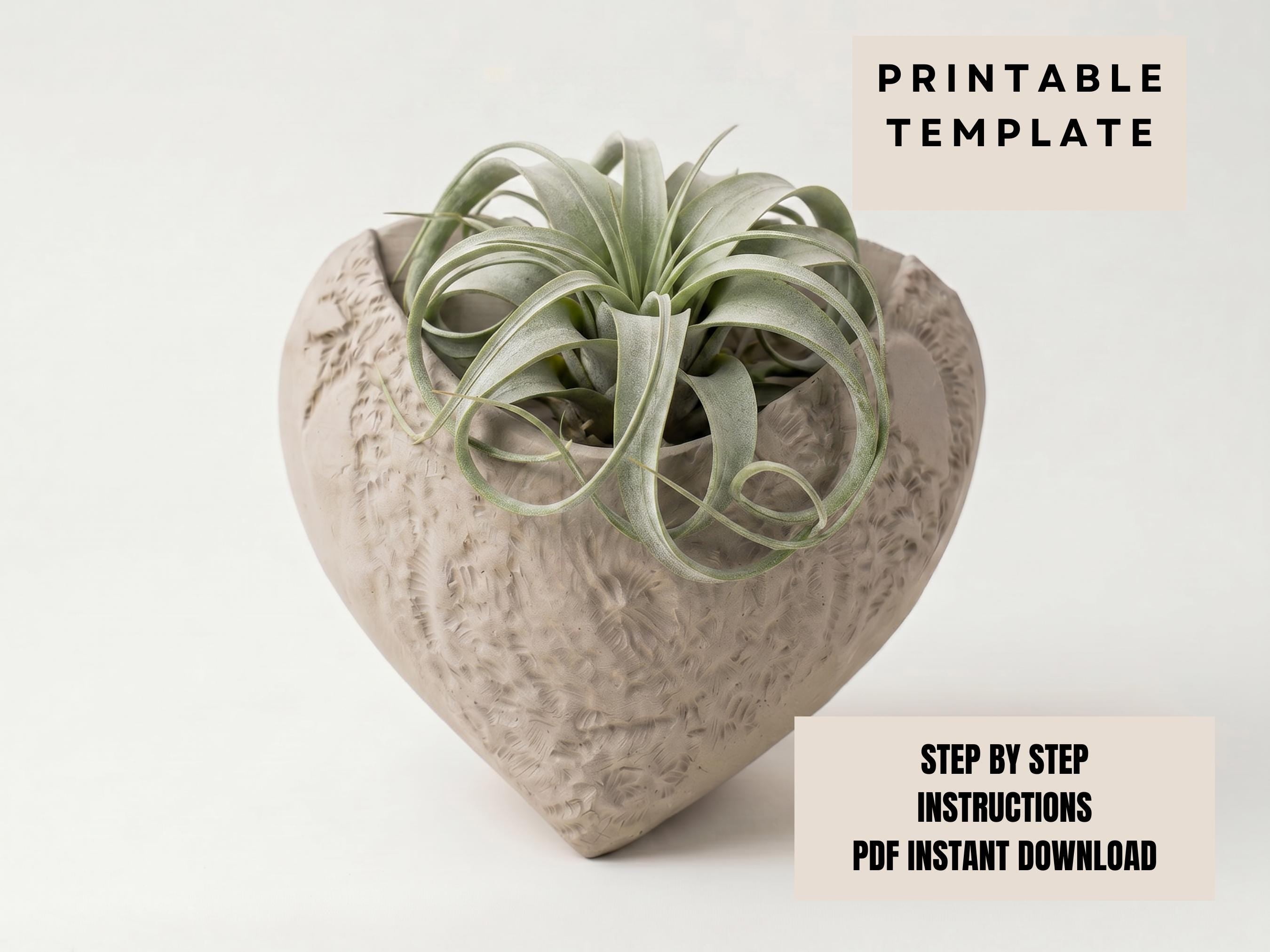 a heart-shaped planter with a plant growing in it.