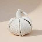 Pumpkin Pottery Template: