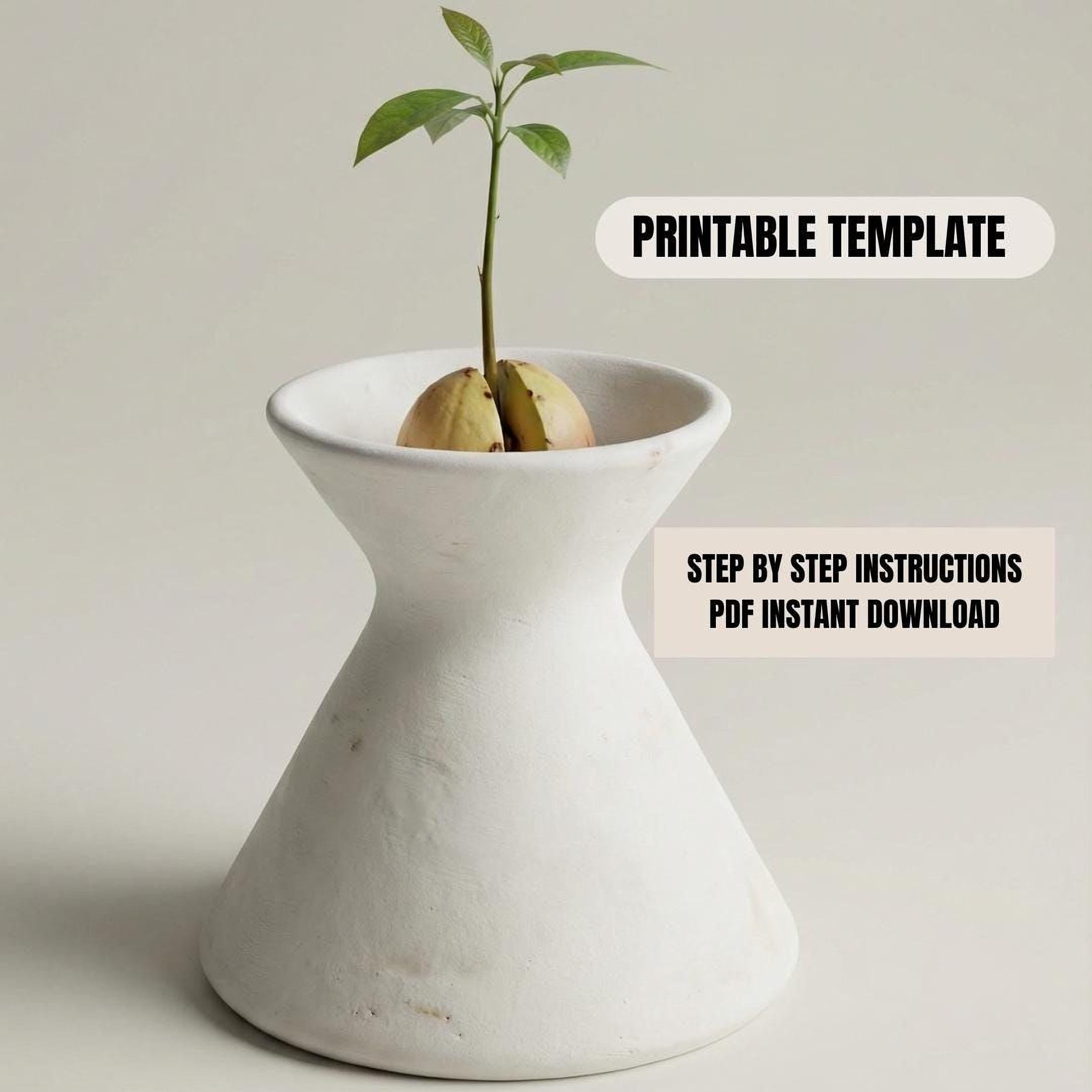 A small potted plant with a sprouting seedling is displayed in a white ceramic vase, accompanied by a "PRINTABLE TEMPLATE" label and instructions for a step-by-step process of creating a similar plant.