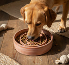 Slow Feeder Dog Bowl Pottery Template